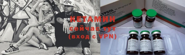 хмурый Каменка