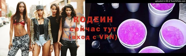 хмурый Каменка