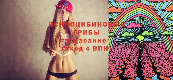 а пвп мука Медвежьегорск