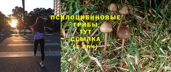 не бодяженный Михайлов