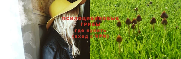 гашик Мегион