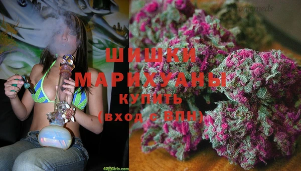 первитин Каменногорск