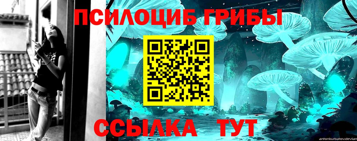 Протвино  Галлюциногенные грибы мухоморы  Псилоцибиновые грибы GOLDEN TEACHER  Вход с VPN 