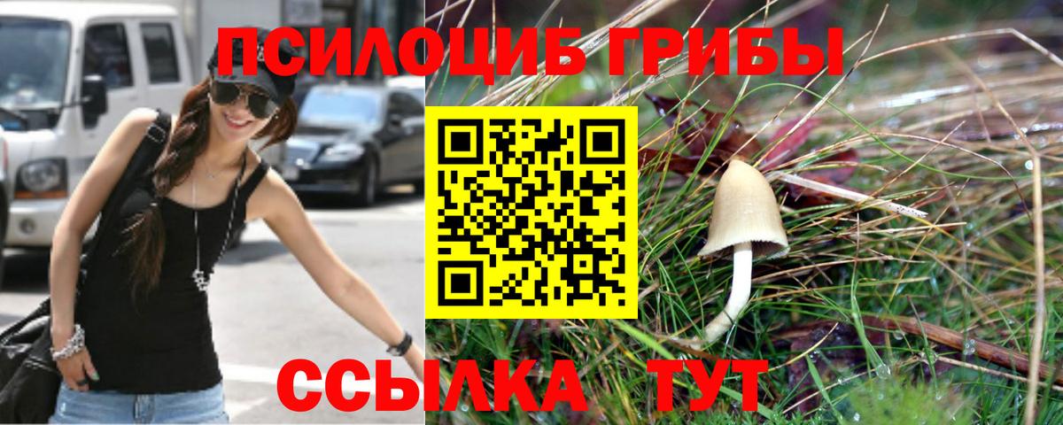 Галлюциногенные грибы Cubensis Протвино