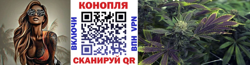 где найти наркотики  MEGA вход  Конопля Ganja  Протвино 